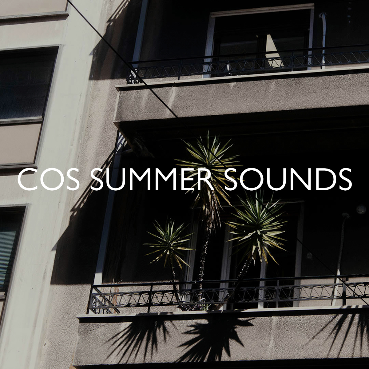 COS Summer Sounds