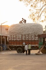 Placeholder for: Cotton truck