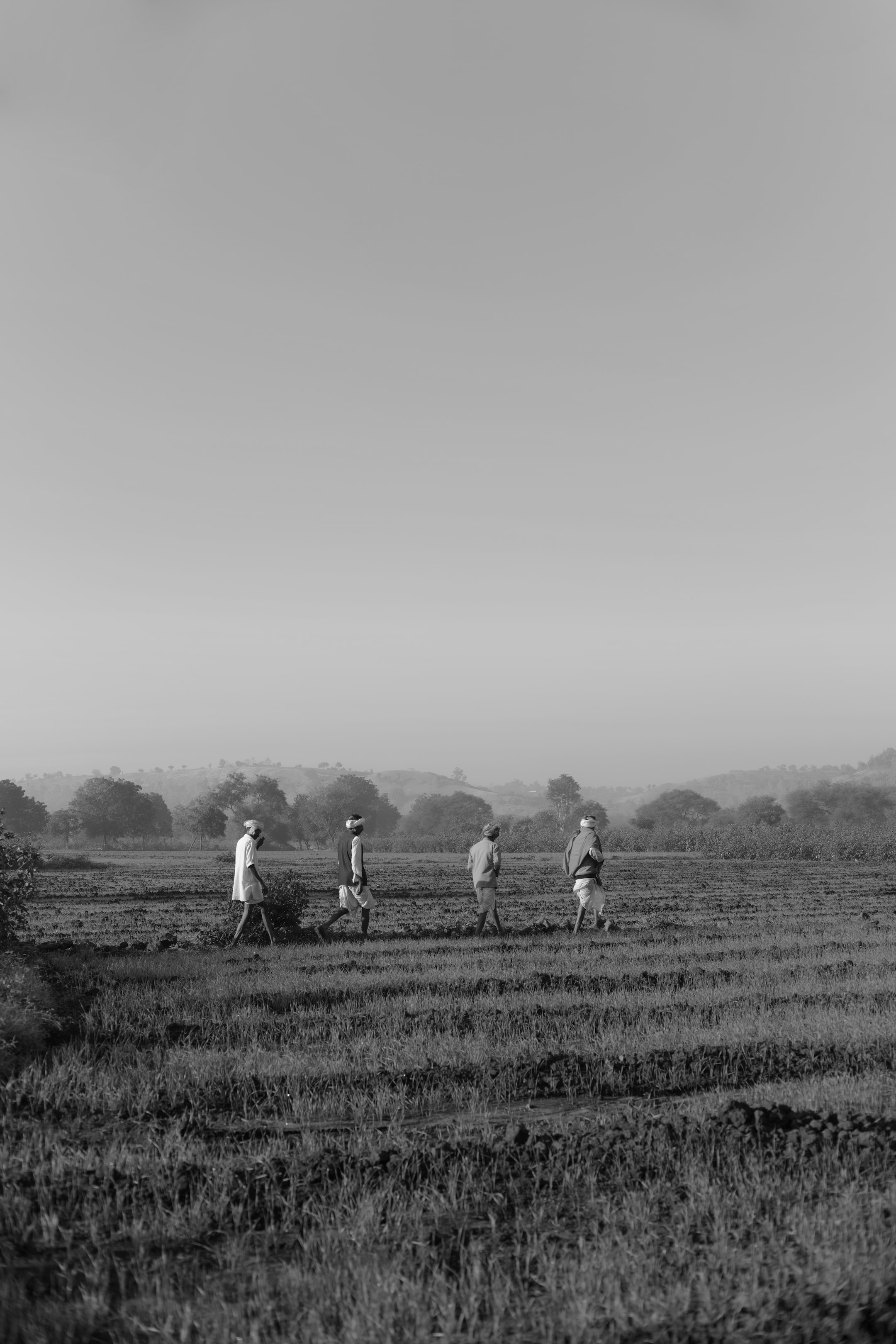 Four people walking across a field