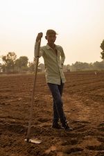 Placeholder for: Cotton farmer standing in field